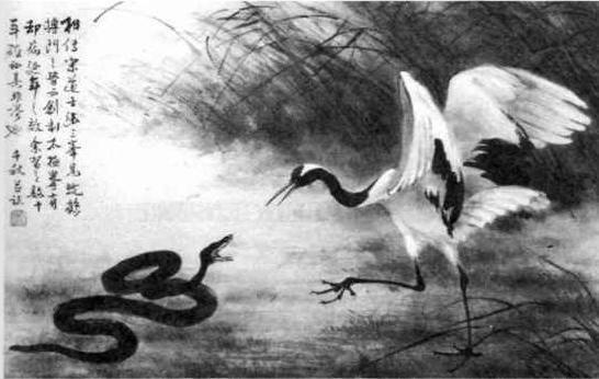 The 5 animals The 5 animals